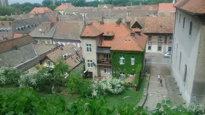 Apartments Laki Novi Sad Exterior photo